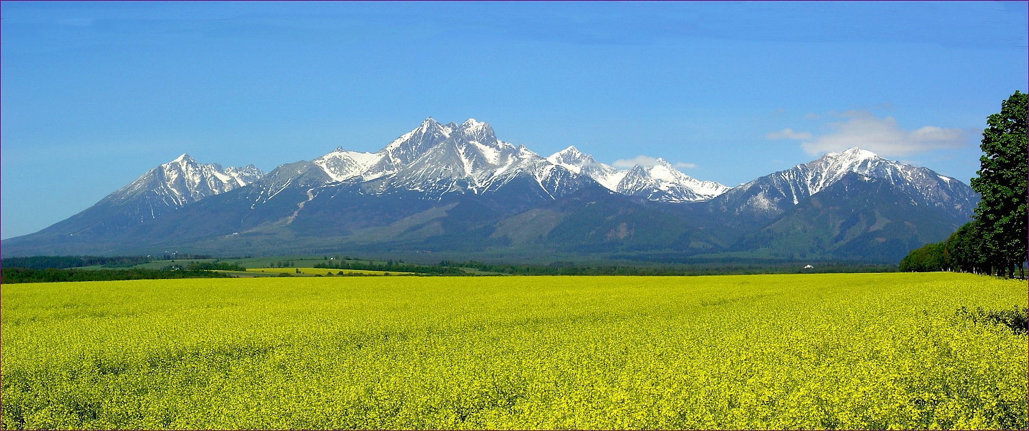 Vysoké Tatry od Kežmarohu (18.5.2012)